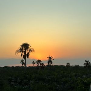 Meet your Posher, Alexander